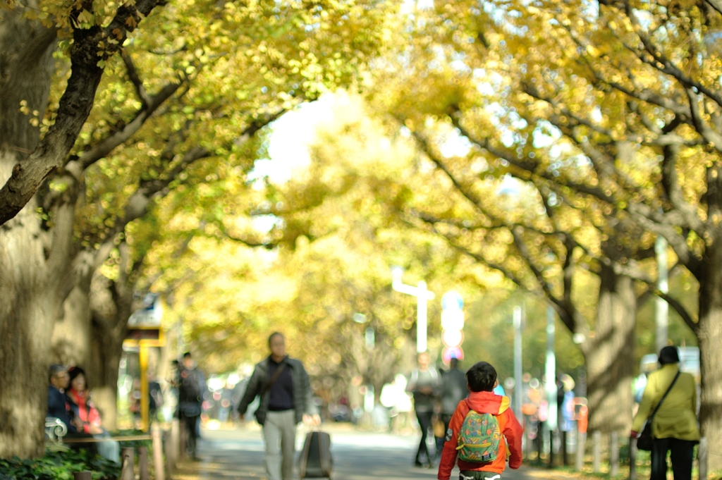 autumn for tokyoites