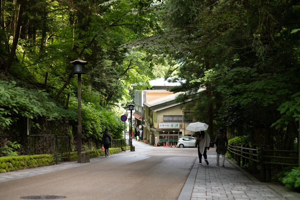 新緑の参道