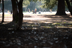 spring for tokyoites 2026