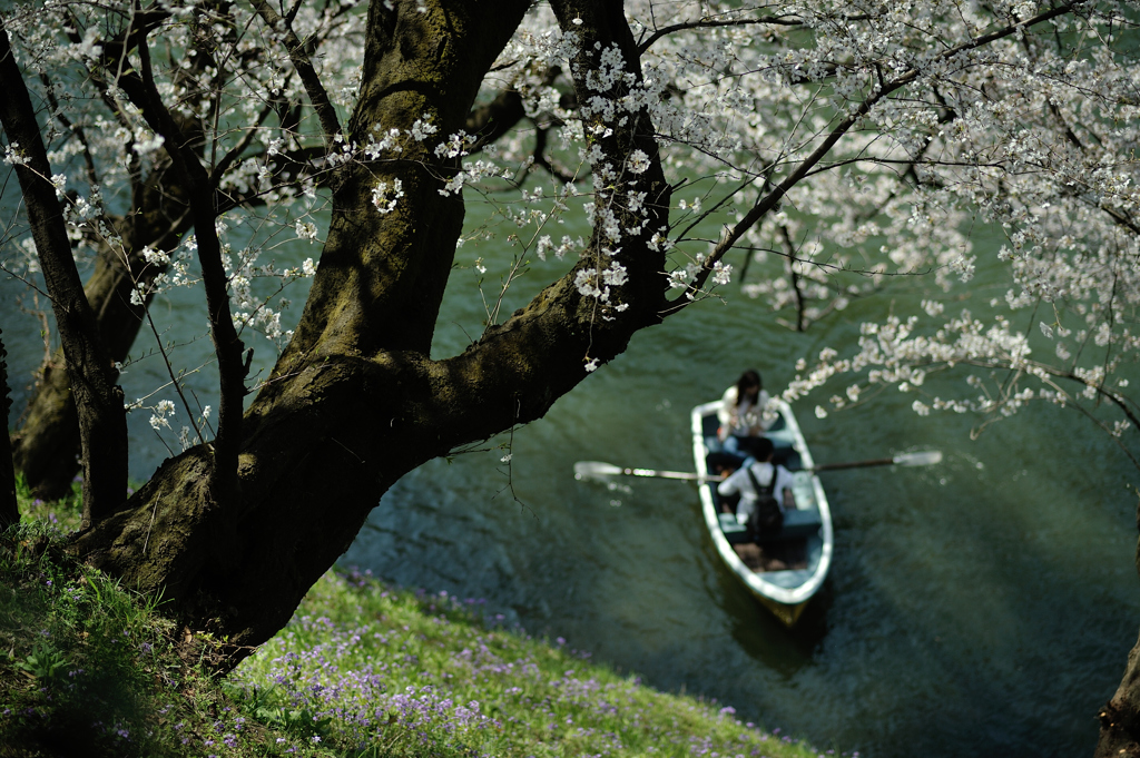 spring for tokyoites 2018