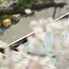 spring for tokyoites