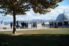 view point