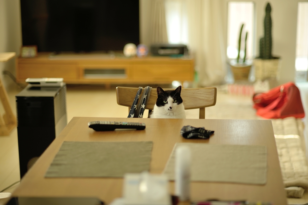 your seat