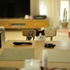 your seat