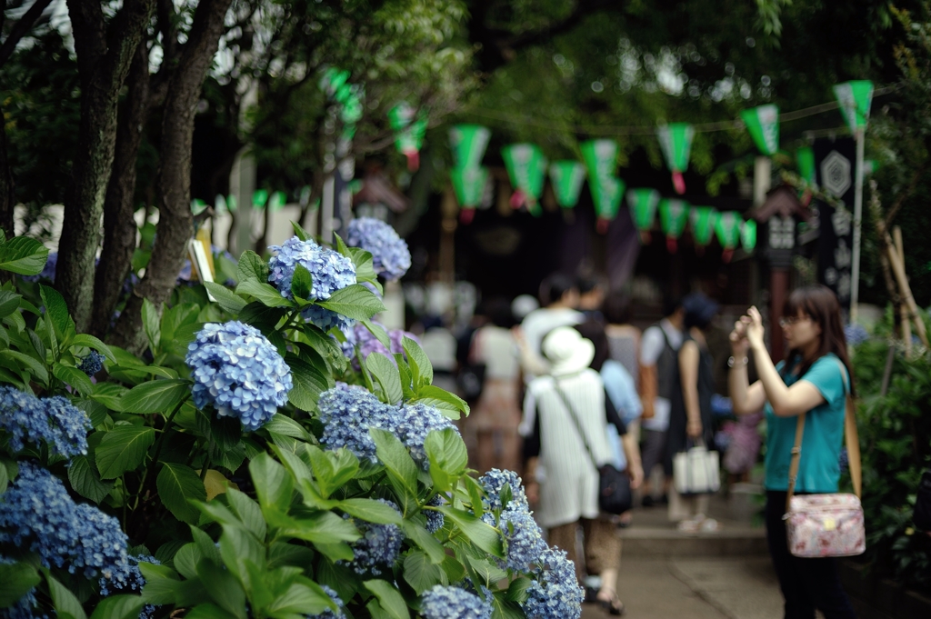 白山神社にて