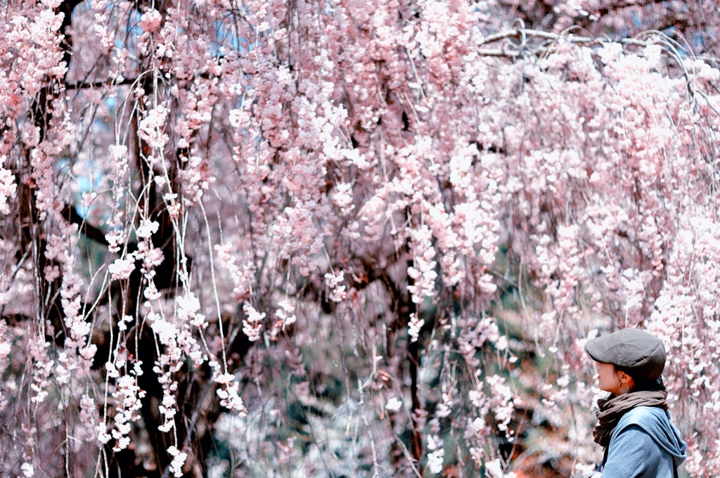 pink-splash!