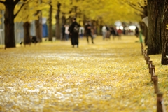 autumn for tokyoites 2019