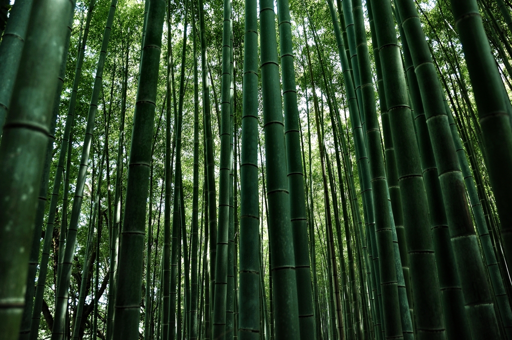 爽