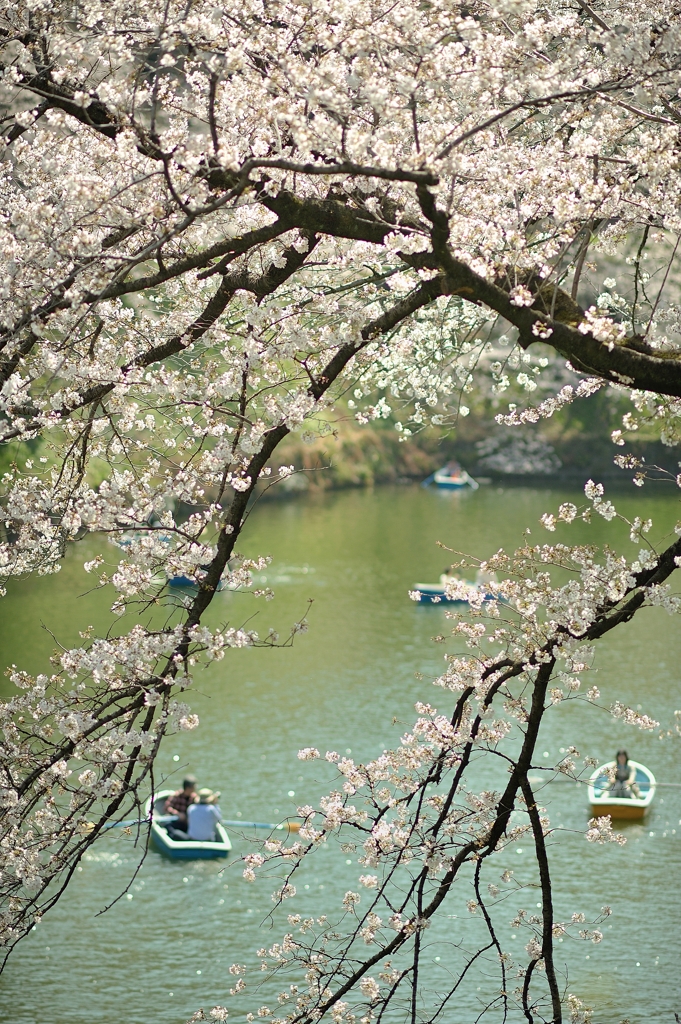 spring for tokyoites 2021