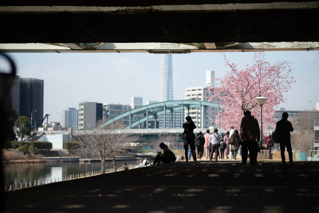 spring for tokyoites 2025