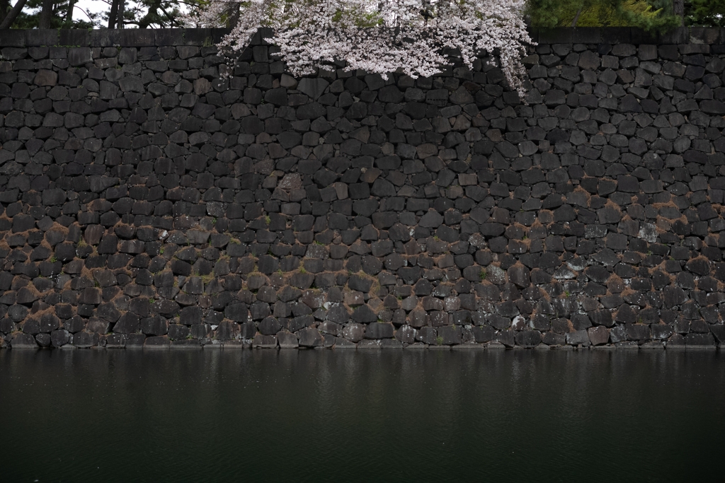 spring for tokyoites 2023