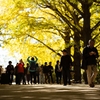 autumn for tokyoites 2023