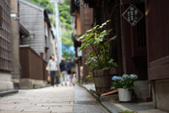 ひがし茶屋街