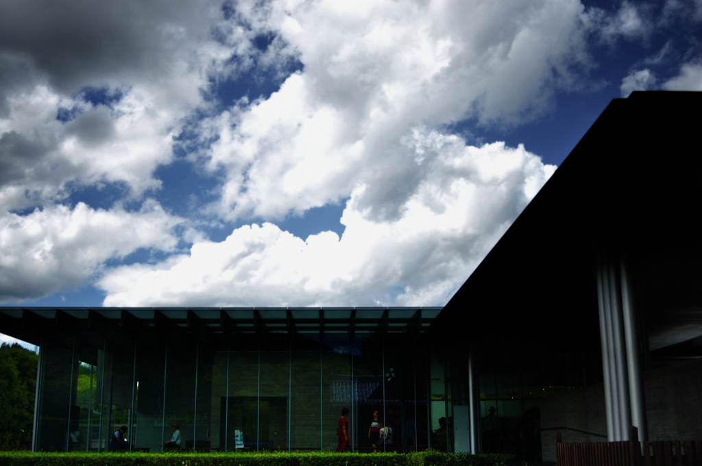 the museum