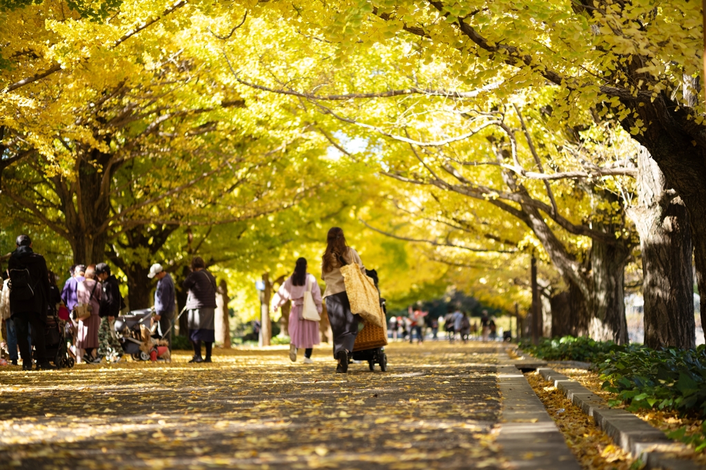 autumn for tokyoites 2023