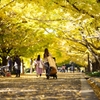 autumn for tokyoites 2023