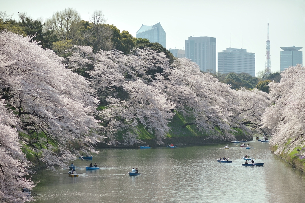 spring for tokyoites