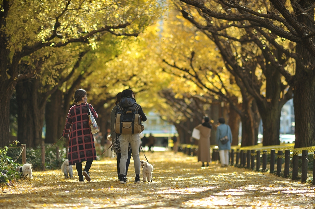 autumn for tokyoites 2021