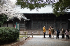 spring for tokyoites 2025