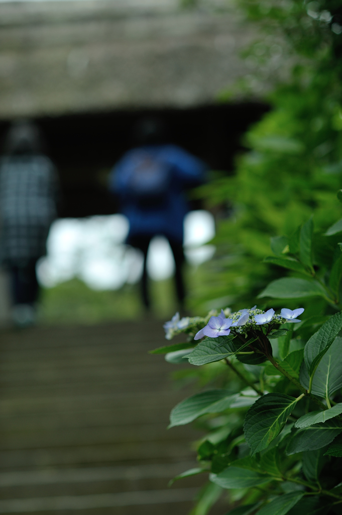 東慶寺前