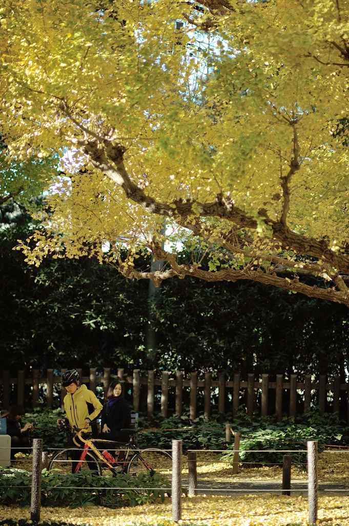 autumn for tokyoites 2017