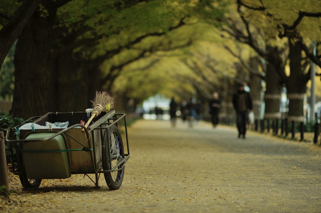 autumn for tokyoites 2017