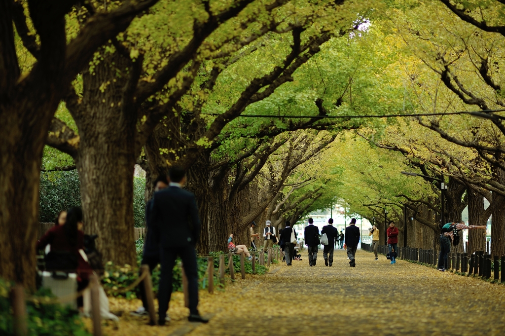 autumn for tokyoites
