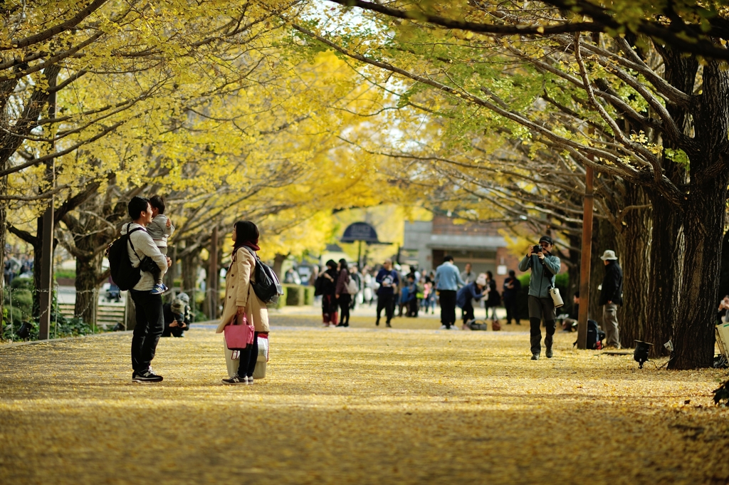 autumn for tokyoites
