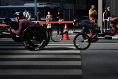 spring for tokyoites 2026