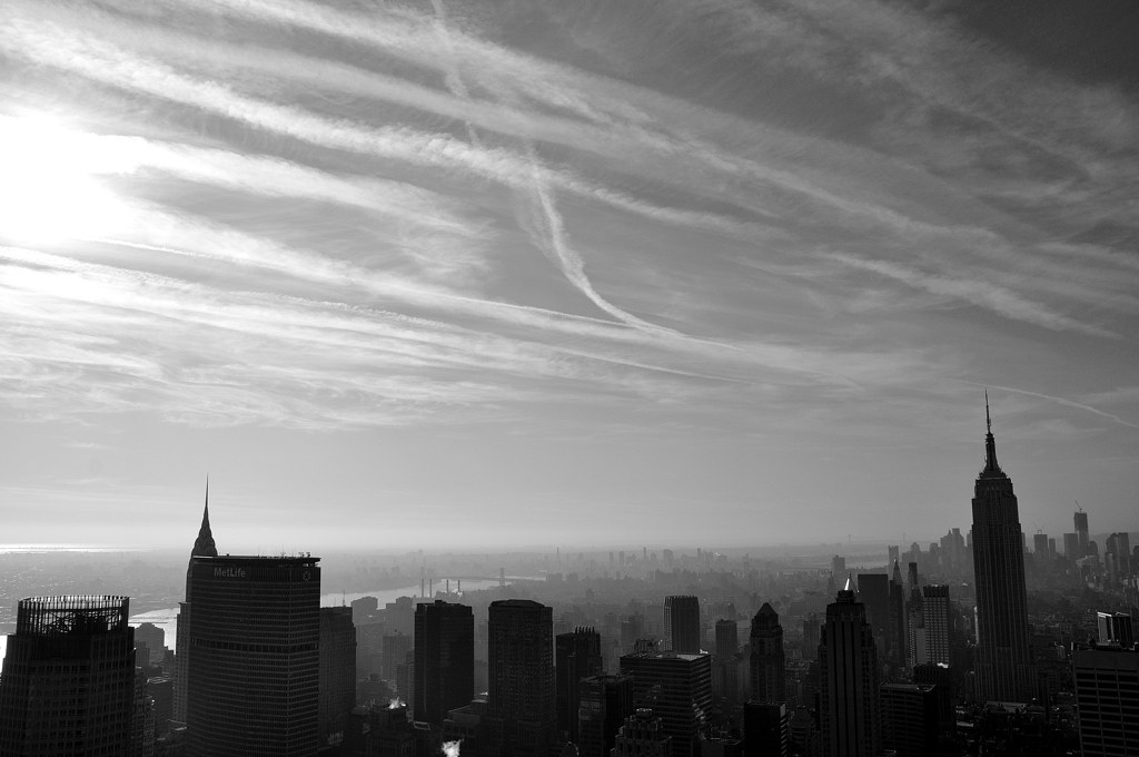 the N.Y.