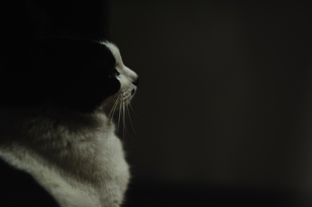 in silence