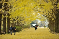 autumn for tokyoites 2019