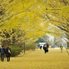autumn for tokyoites 2019