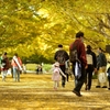 autumn for tokyoites 2020