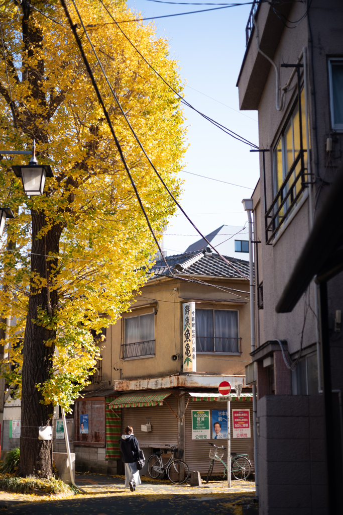 autumn for tokyoites 2023