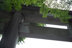 大鳥居に重なる季節