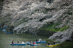 spring for tokyoites