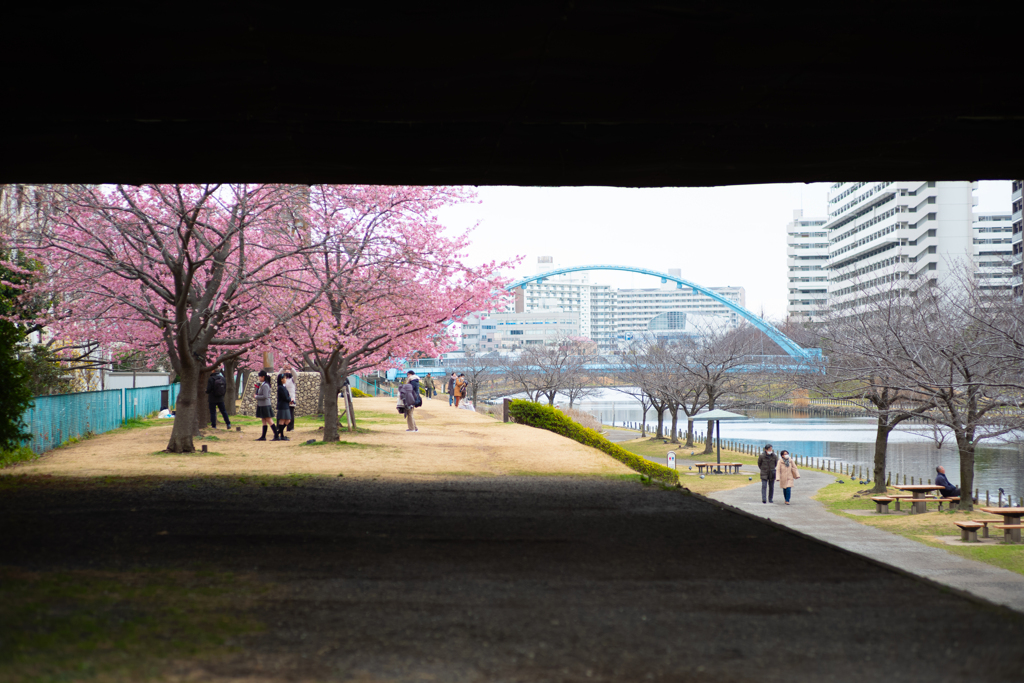 spring for tokyoites 2024
