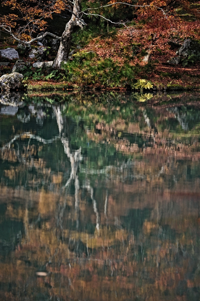 天龍寺の秋