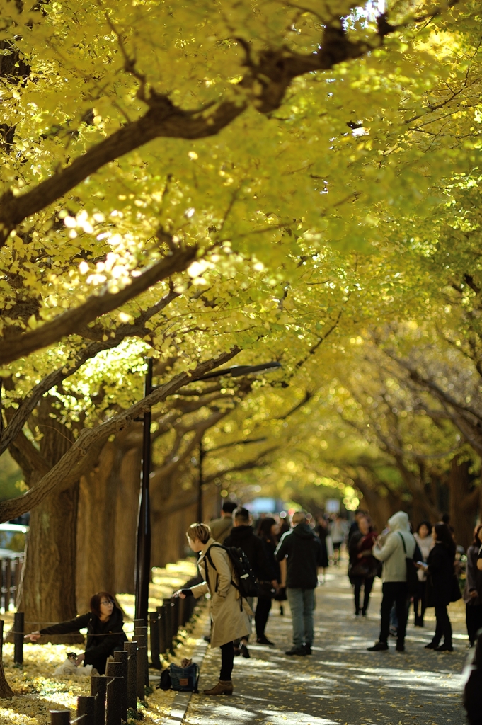 autumn for tokyoites 2017