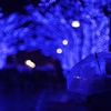 rainy blue とはよく言ったもんで。