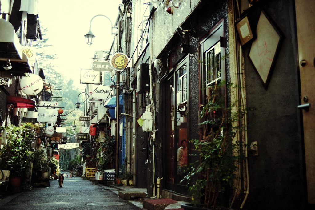 新宿猫景