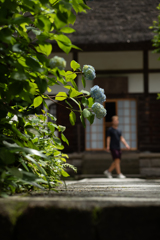 北鎌倉にて