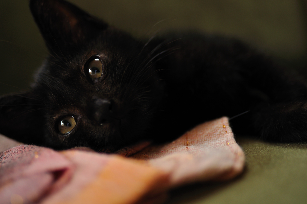 black babe