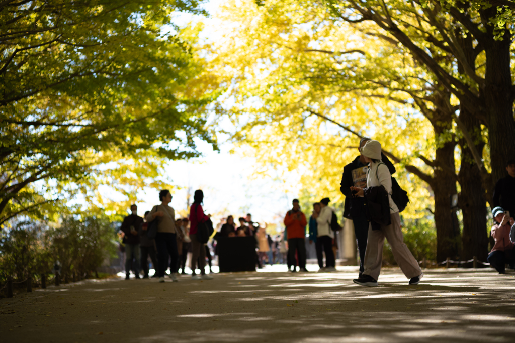 autumn for tokyoites 2023