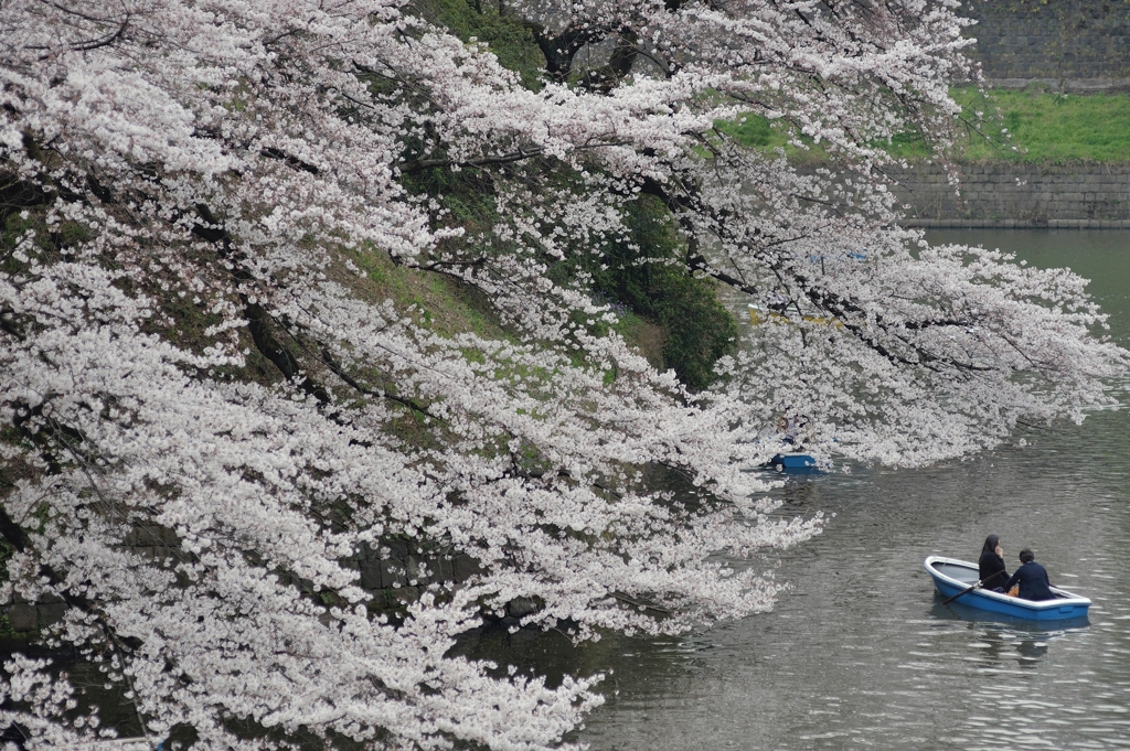 spring for tokyoites