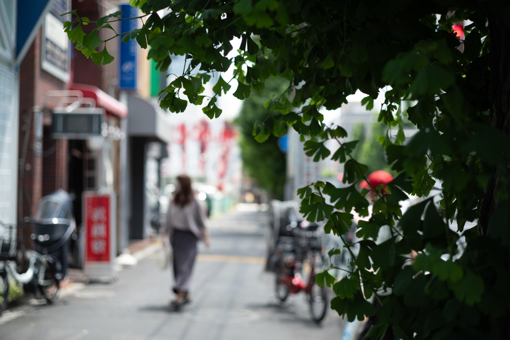 新緑の季節