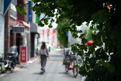 新緑の季節