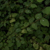 7月