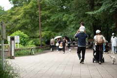 緑の公園で